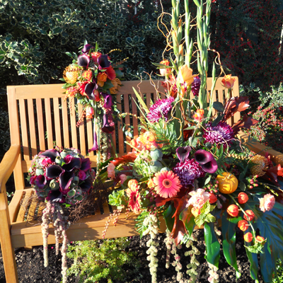 Autumn Collection